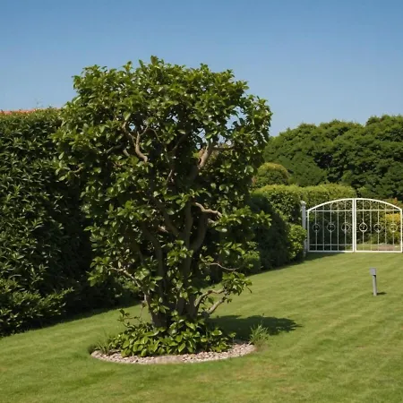 Apartment Familiennest Mit Kuschelgarten