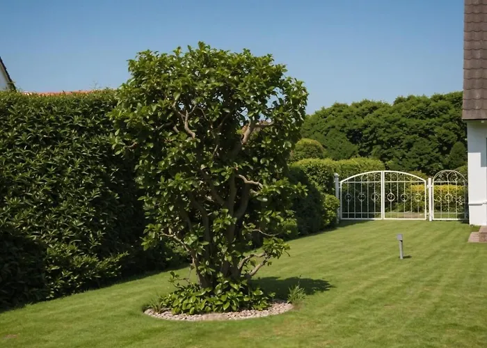 Appartement Grosszuegiges Einfamilienhaus Mit Viel Garten